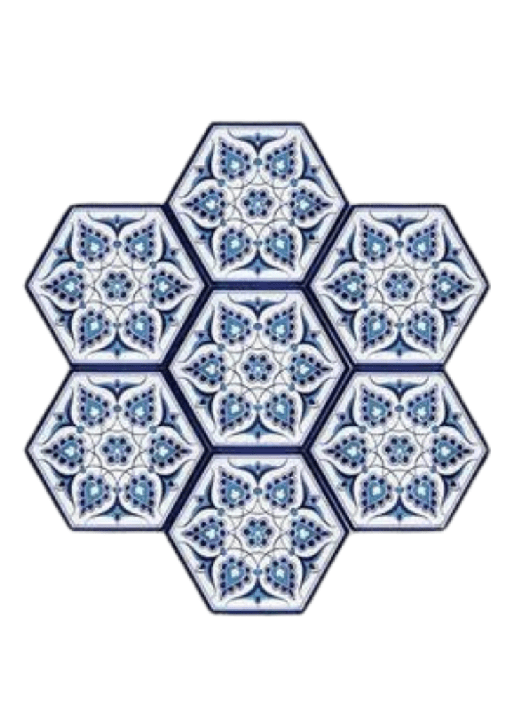 Hexagonal Ceramic Tile-21