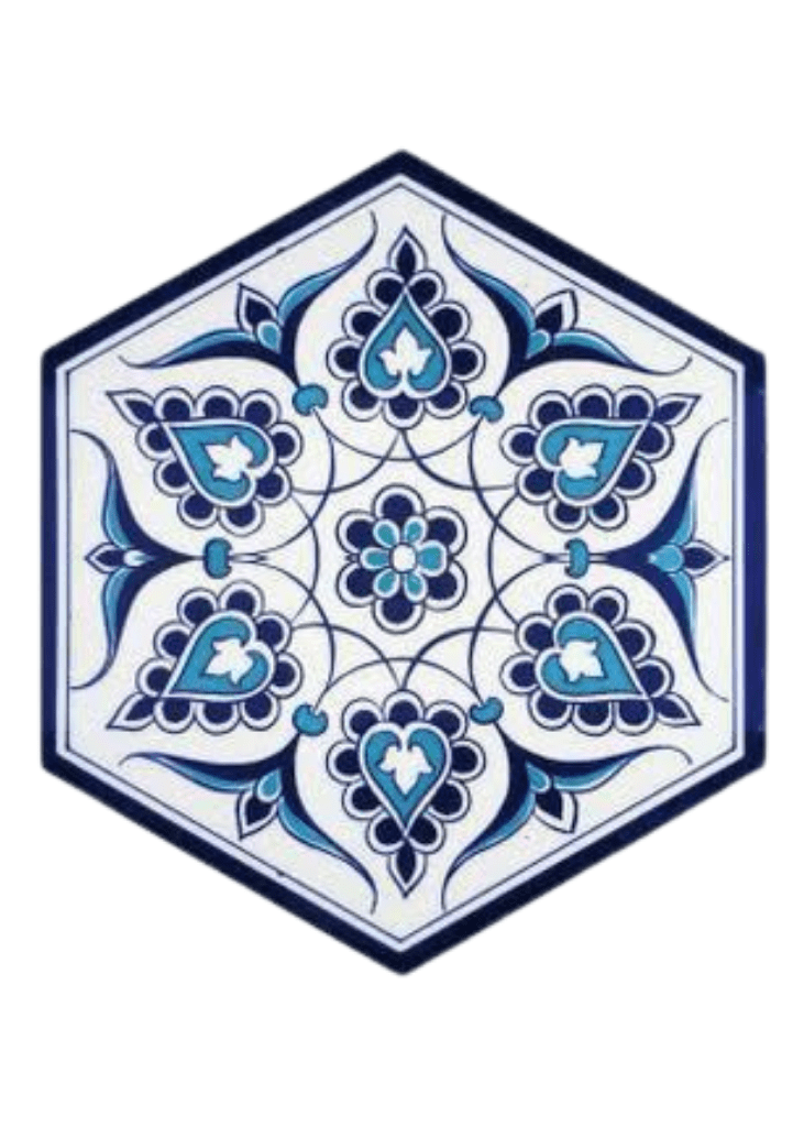 Hexagonal Ceramic Tile-24