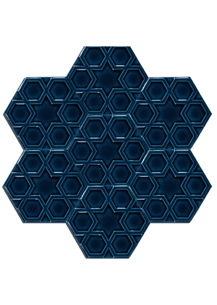 Hexagonal Ceramic Tile-38