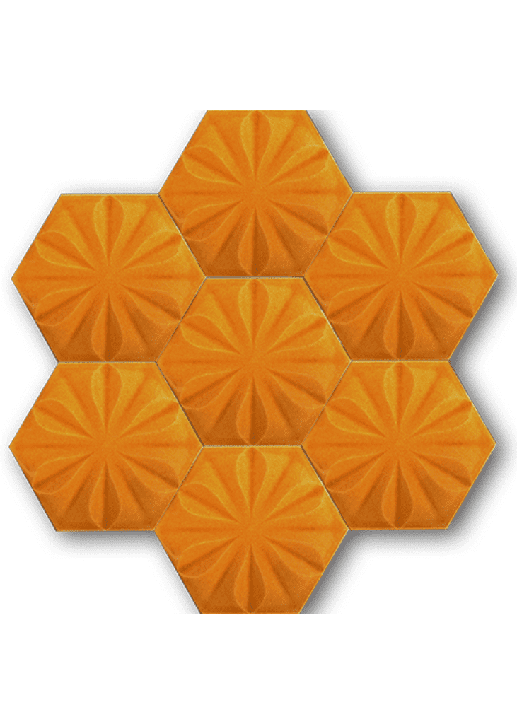 Hexagonal Ceramic Tile-06