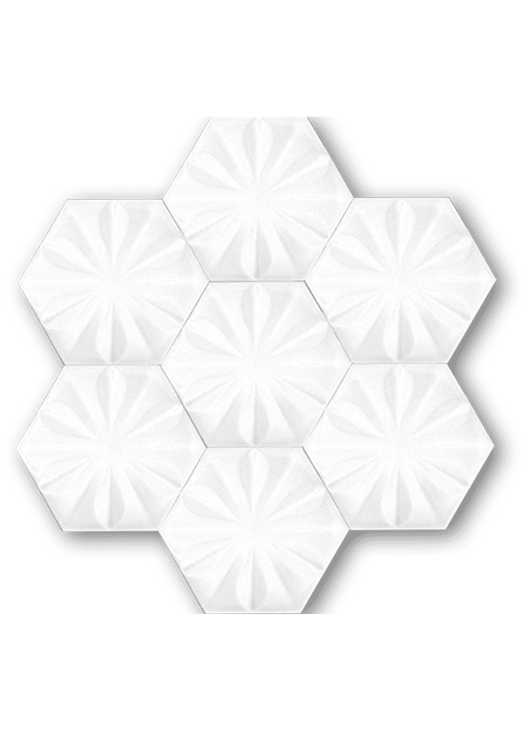 Hexagonal Ceramic Tile-09