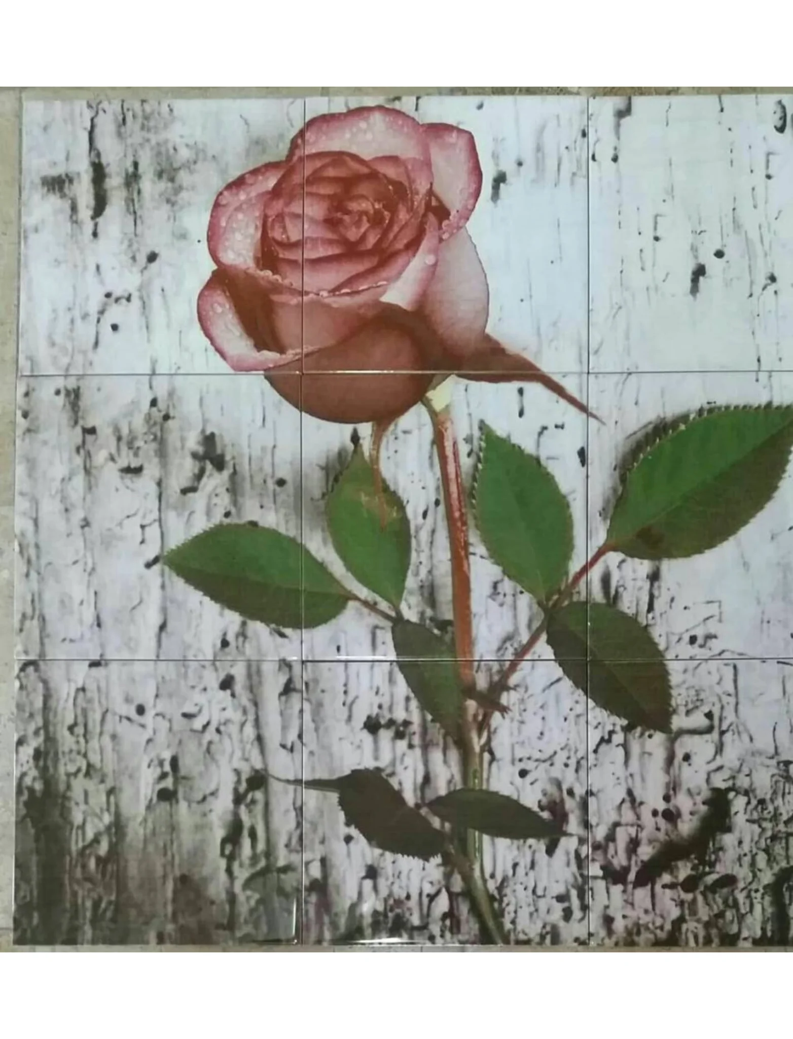 Digital Print Ceramic-21