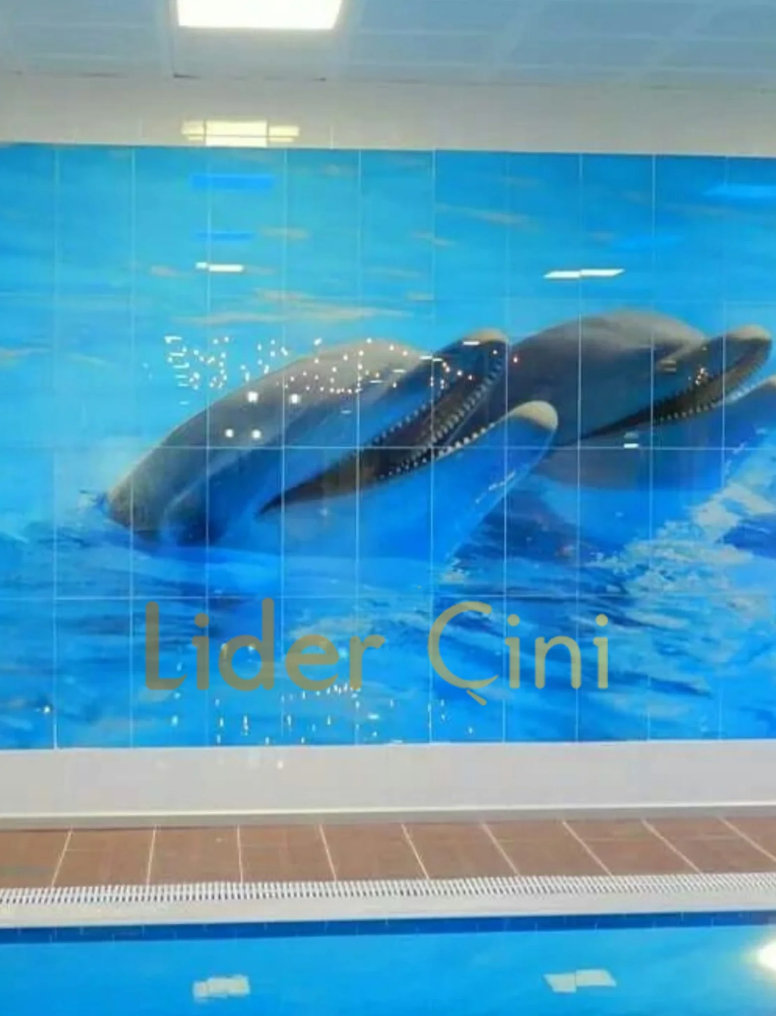 Digital Print Ceramic-34