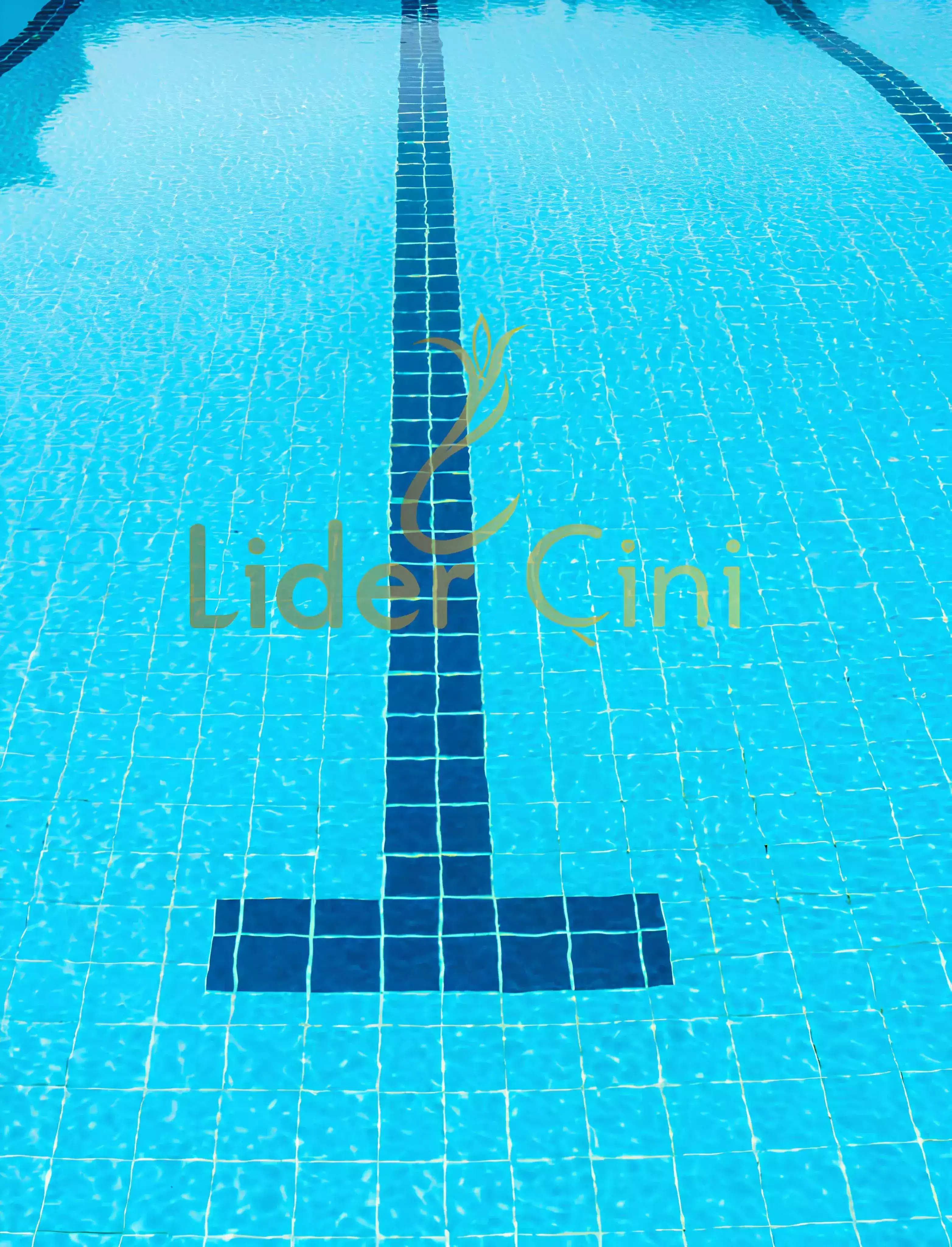 Pool Ceramic Tiles-19