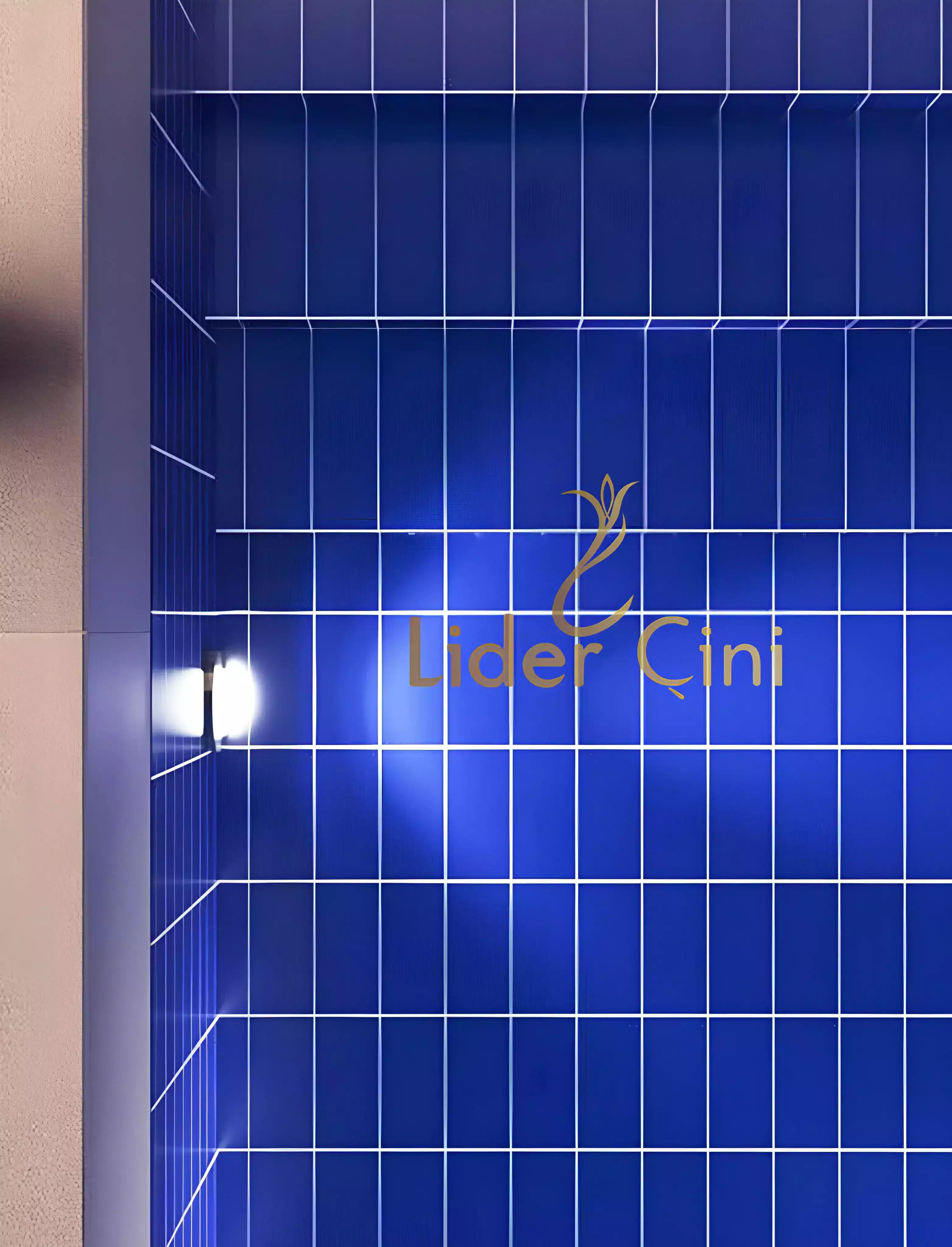 Pool Ceramic Tiles-46