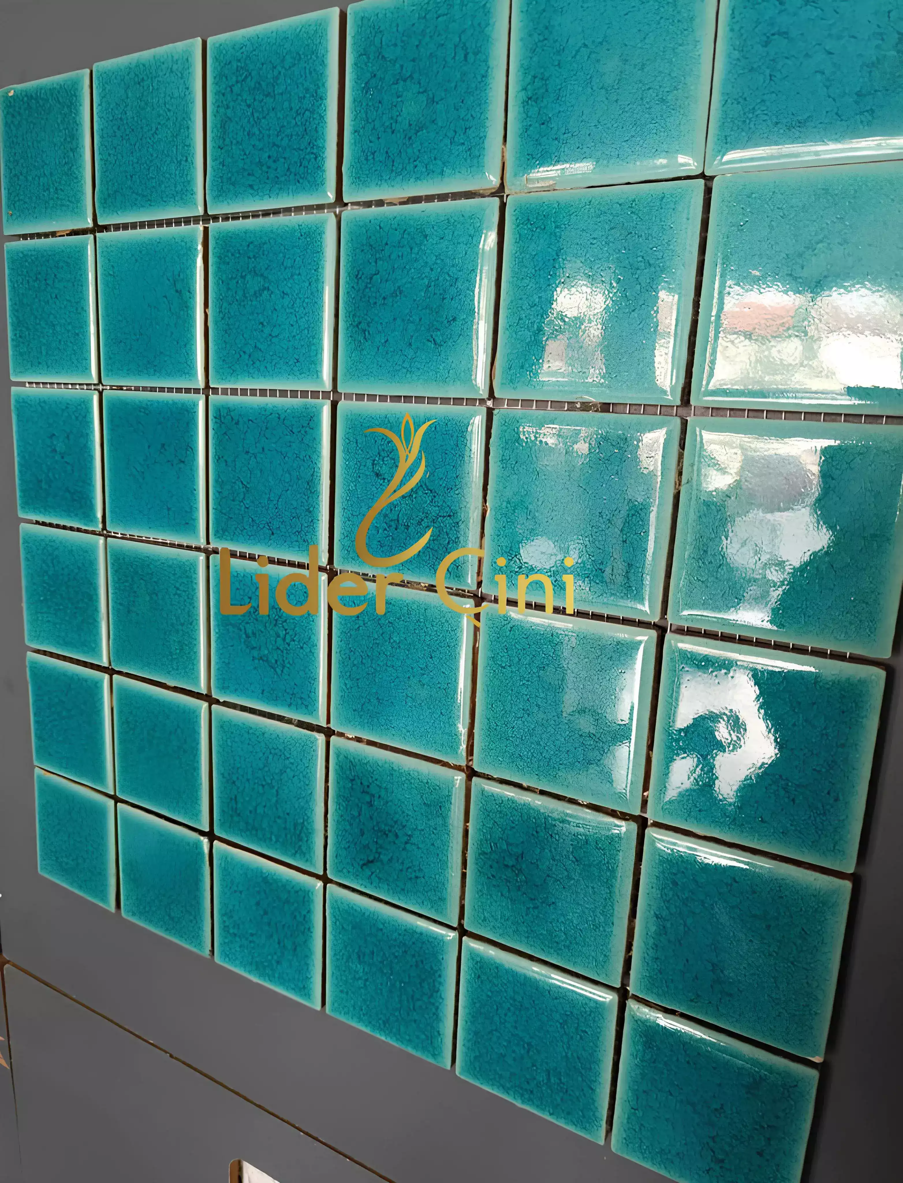 Pool Ceramic Tiles-47