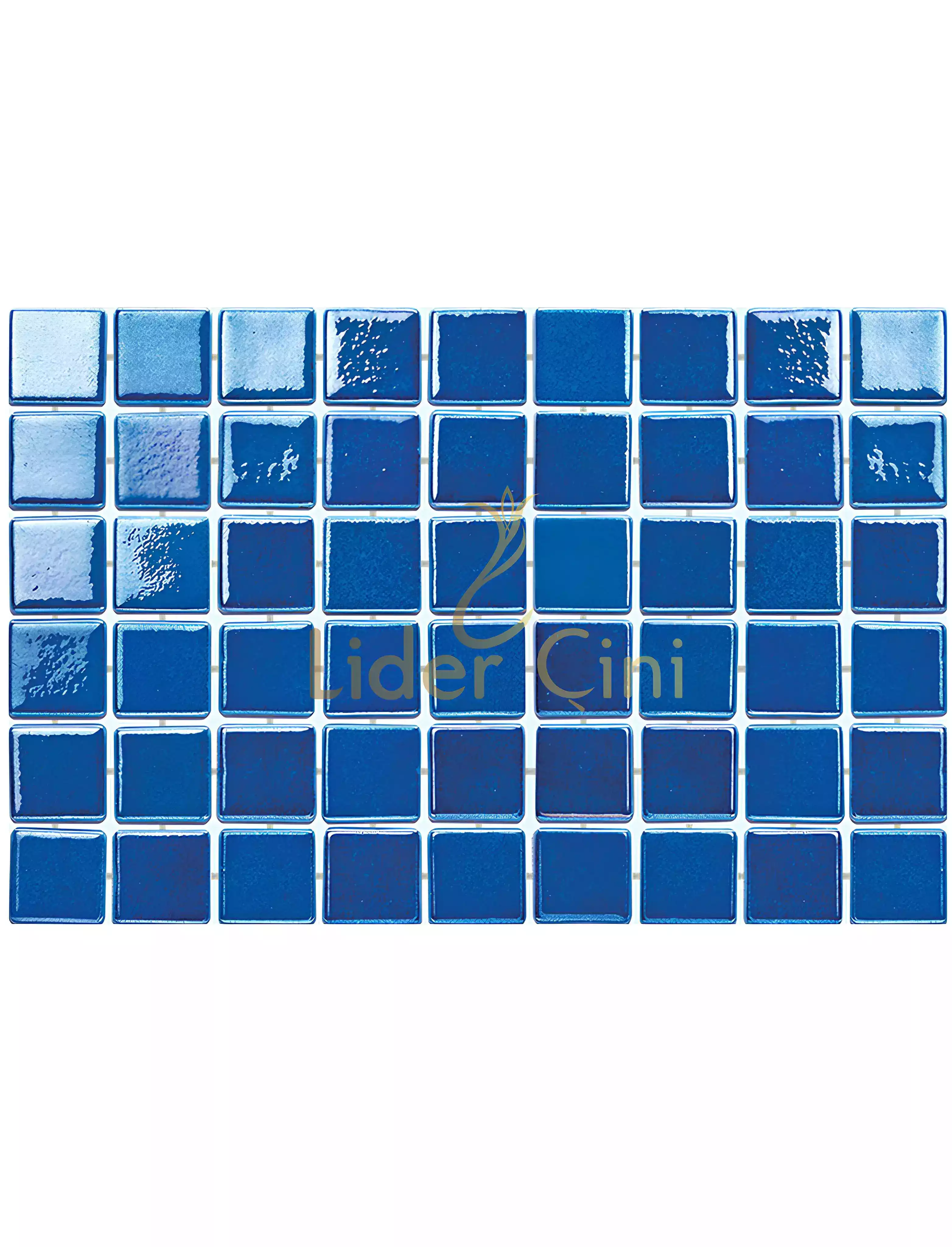 Pool Ceramic Tiles-55