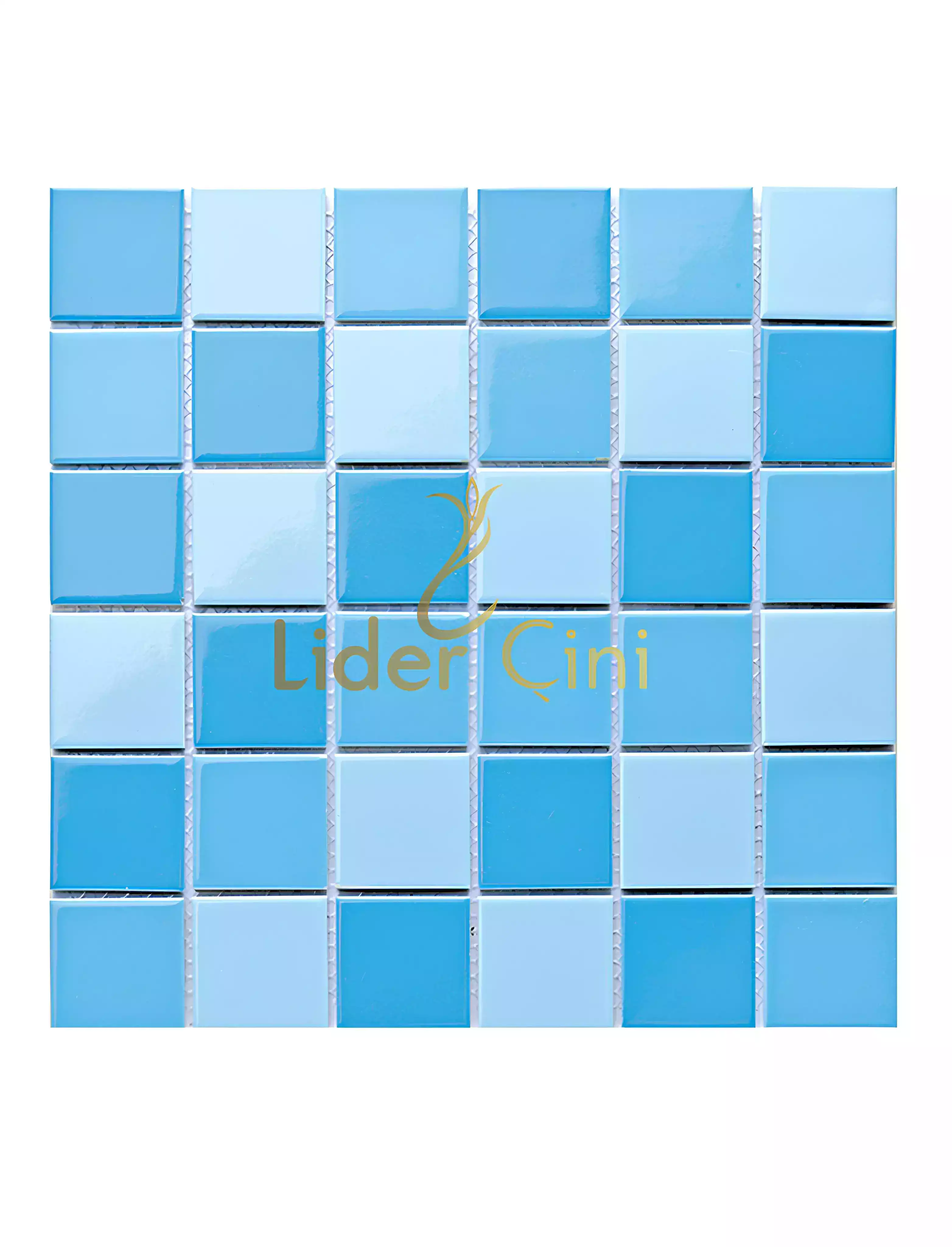 Pool Ceramic Tiles-56