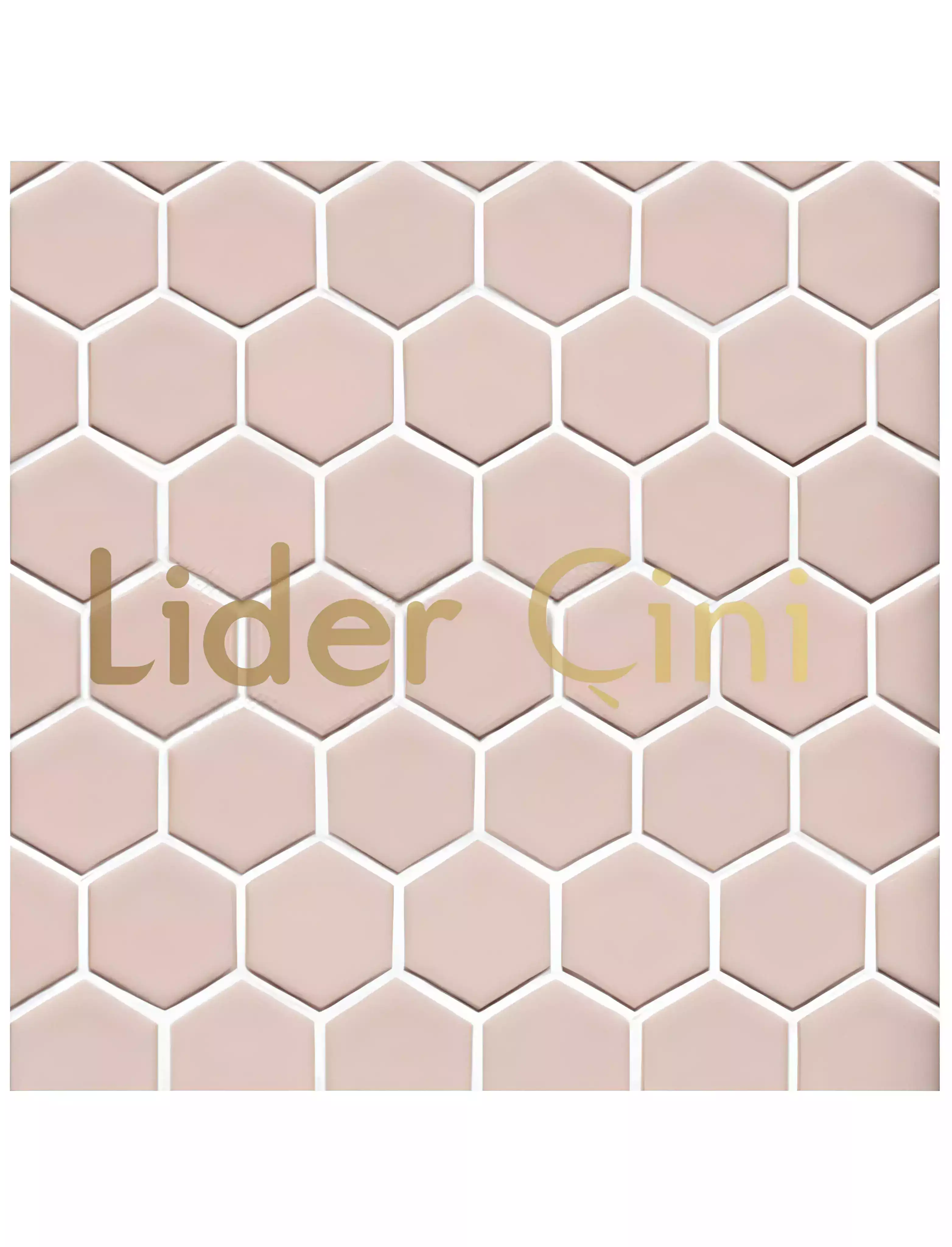 Pool Ceramic Tiles-62