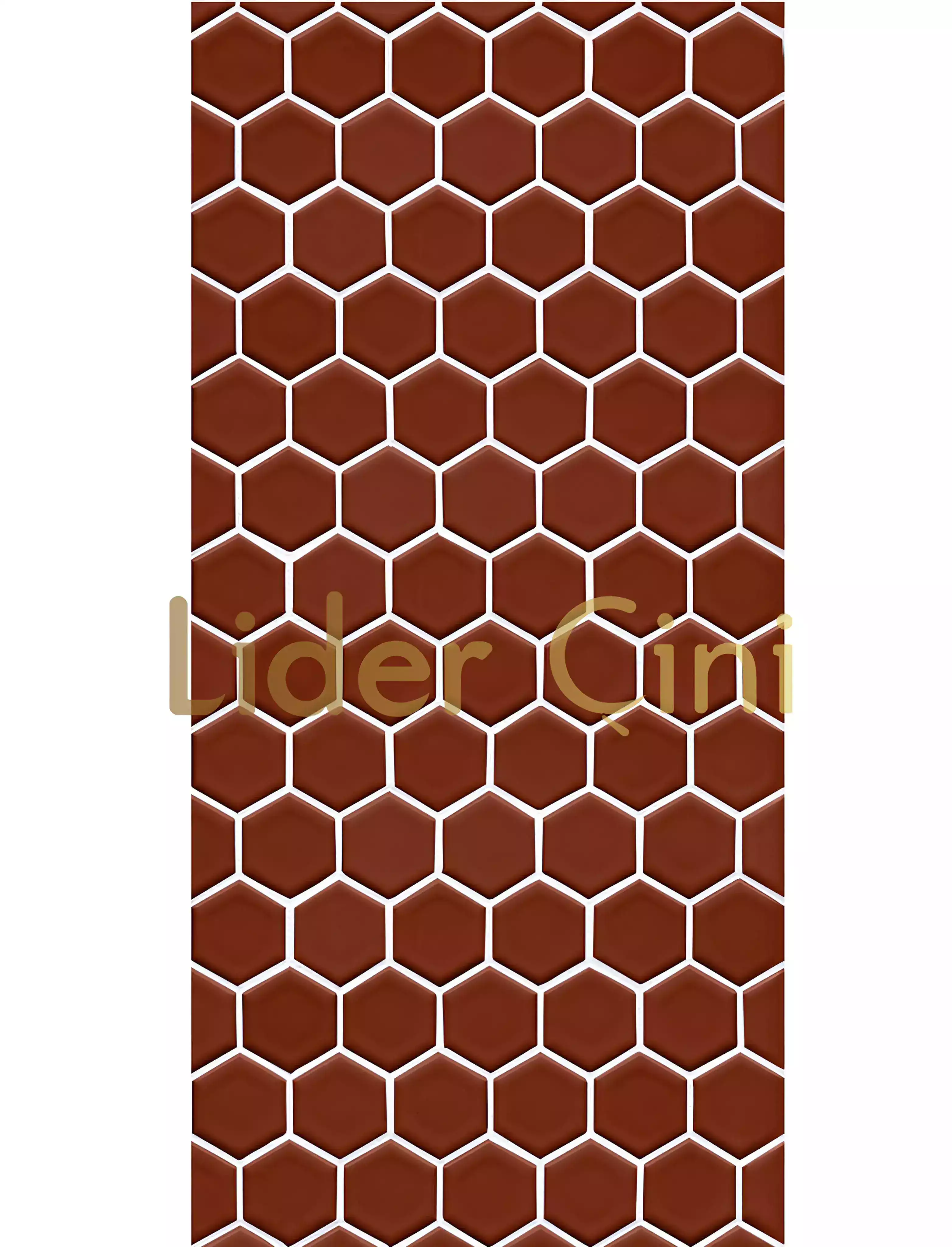 Pool Ceramic Tiles-64